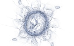 2014 05 04 Test 4 9998-white.jpg